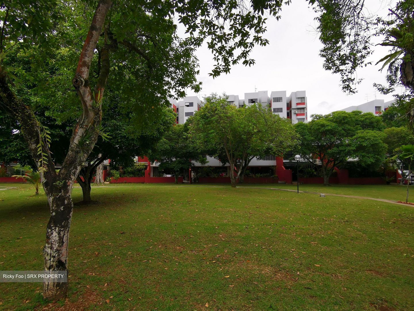 Mimosa Park (D28), Terrace For Sale 97884551